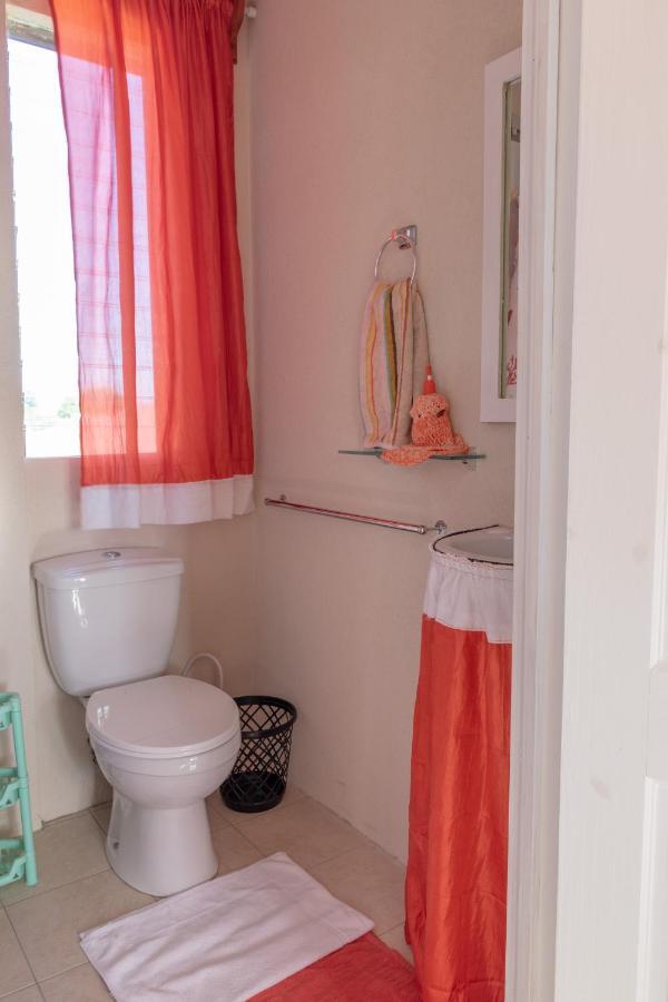 Edtricias Apartments クライストチャーチ エクステリア 写真