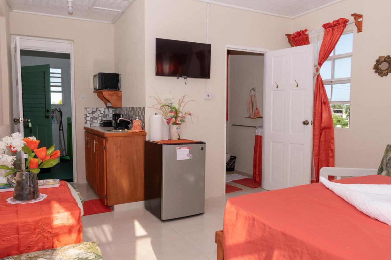 Edtricias Apartments クライストチャーチ エクステリア 写真